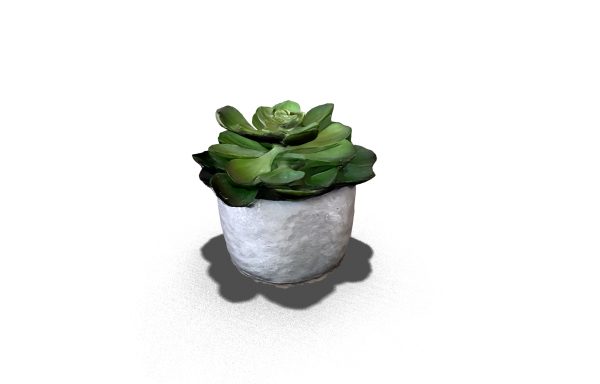 Gray Potted Plant