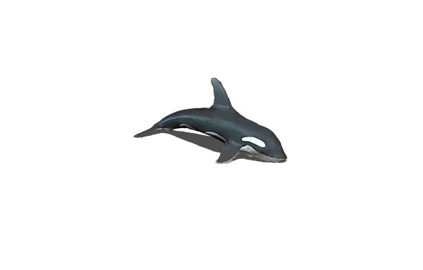 Killer Whale Toy