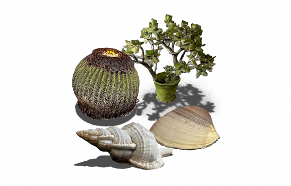 Agriculture, forestry, fisheries and veterinary