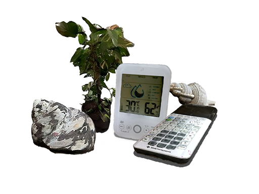 Natural sciences, mathematics and statistics